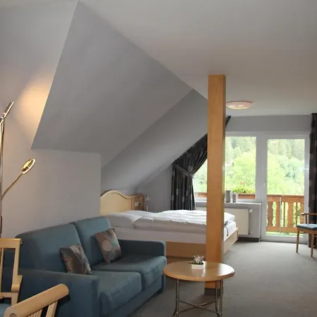 Haus Kieferneck Willingen (Upland)